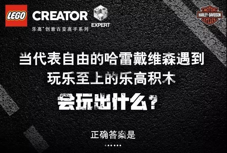 乐高®创意百变高手系列10269哈雷戴维森®肥仔®摩托车.jpg