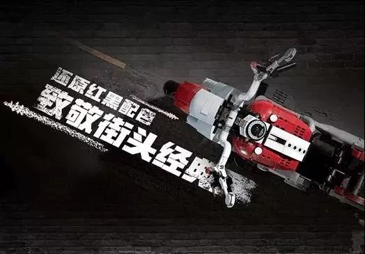 乐高®创意百变高手系列10269哈雷戴维森®肥仔®摩托车.jpg