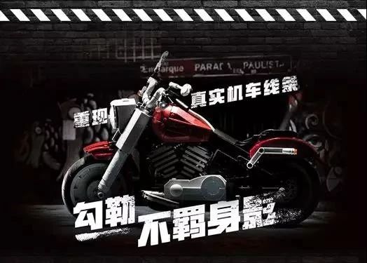 乐高®创意百变高手系列10269哈雷戴维森®肥仔®摩托车.jpg