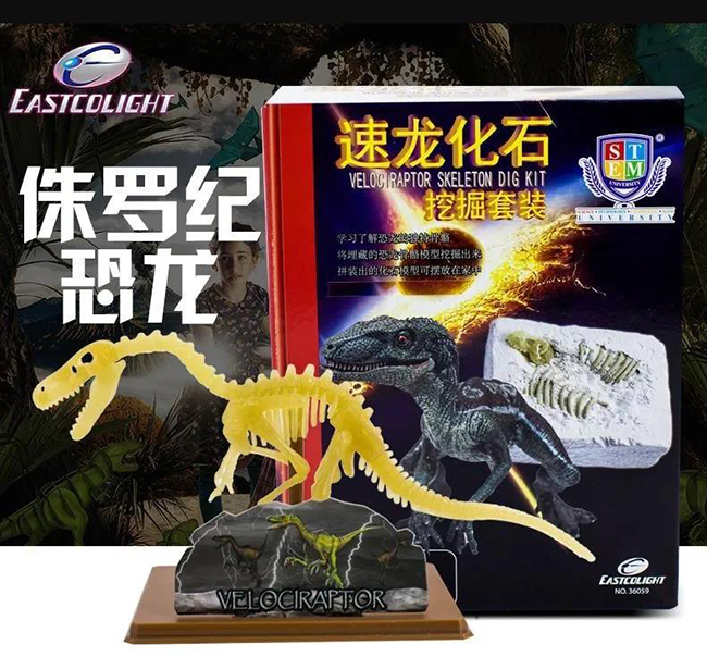 怡高速龙化石挖掘套装.jpg