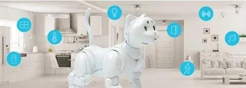 Maicat.jpg