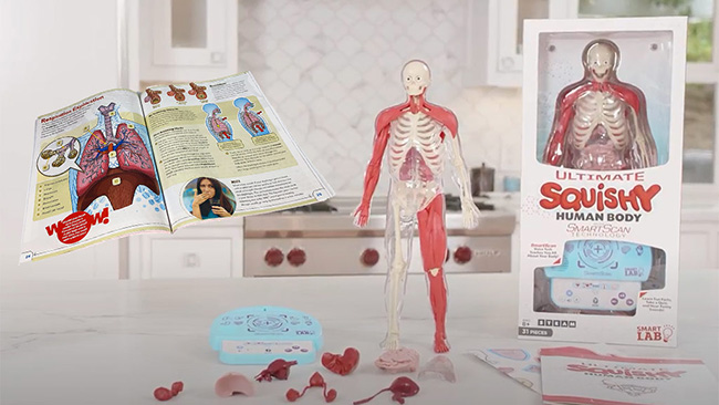 SMARTLAB_ULTIMATE_SQUISHY_HUMAN_BODY.jpg
