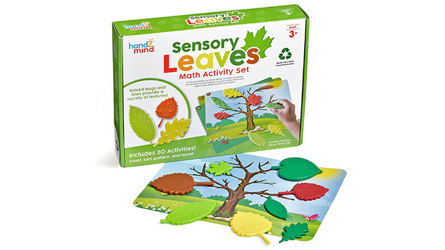 HAND2MIND_SENSORY-LEAVES-MATH-ACTIVITY-SET_2022.jpg