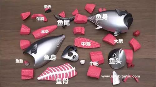 本マグロ解体パズル.jpg