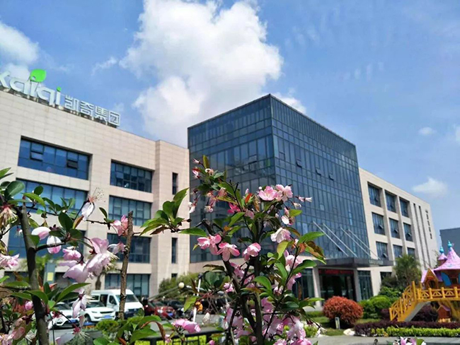 凯奇集团.jpg
