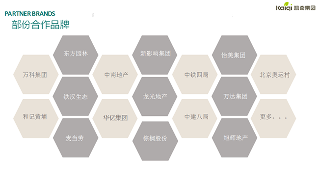 凯奇集团合作品牌.png