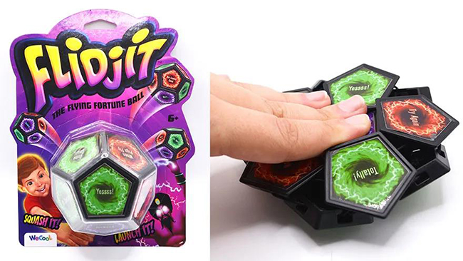FLIDJIT FORTUNE TELLER.jpg