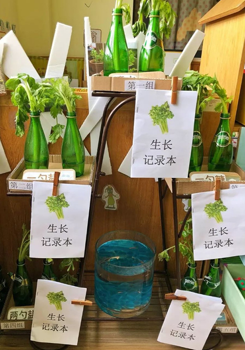自然角.png