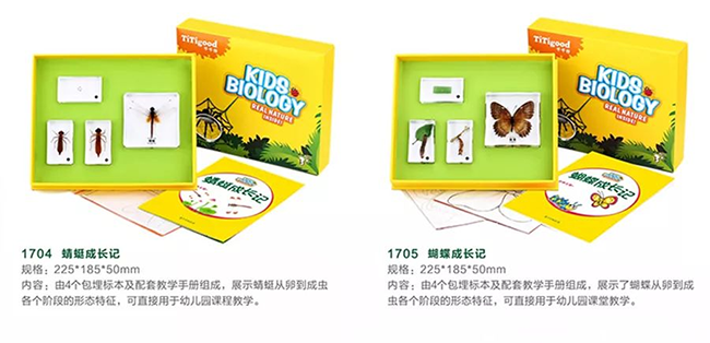 TiTigood千千谷儿童自然系列标本.png